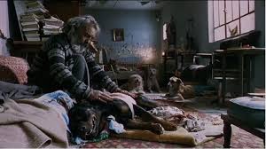 نقد فیلم عشق سگی | ستایش خانواده به سبک ایناریتو