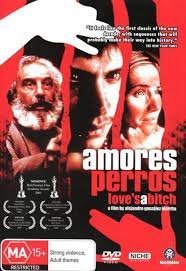 نقد فیلم «عشق سگی» (Amores Perros) از دیدگاه یونگی Jungian